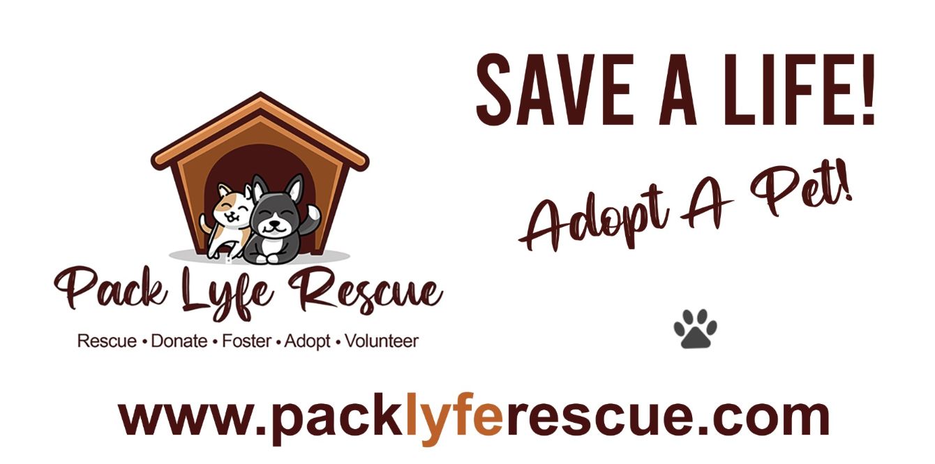About the Pack Lyfe Rescue Apparel!&nbsp; campaign on Bonfire 2