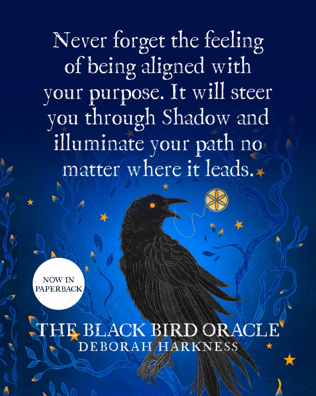 About the The Black Bird Oracle Series campaign on Bonfire 4