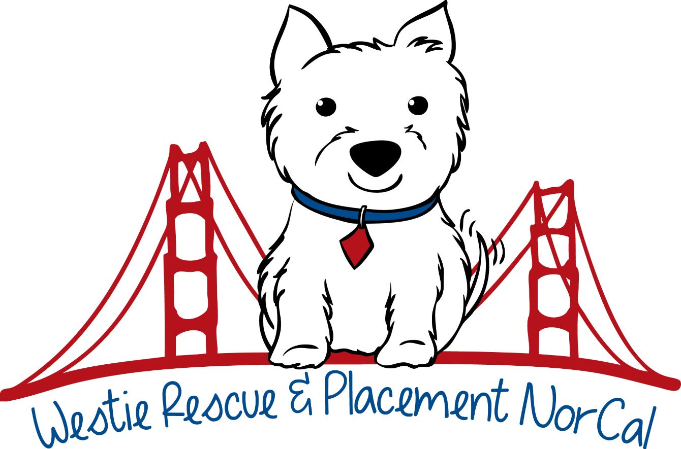 About the Westies Forever campaign on Bonfire 2