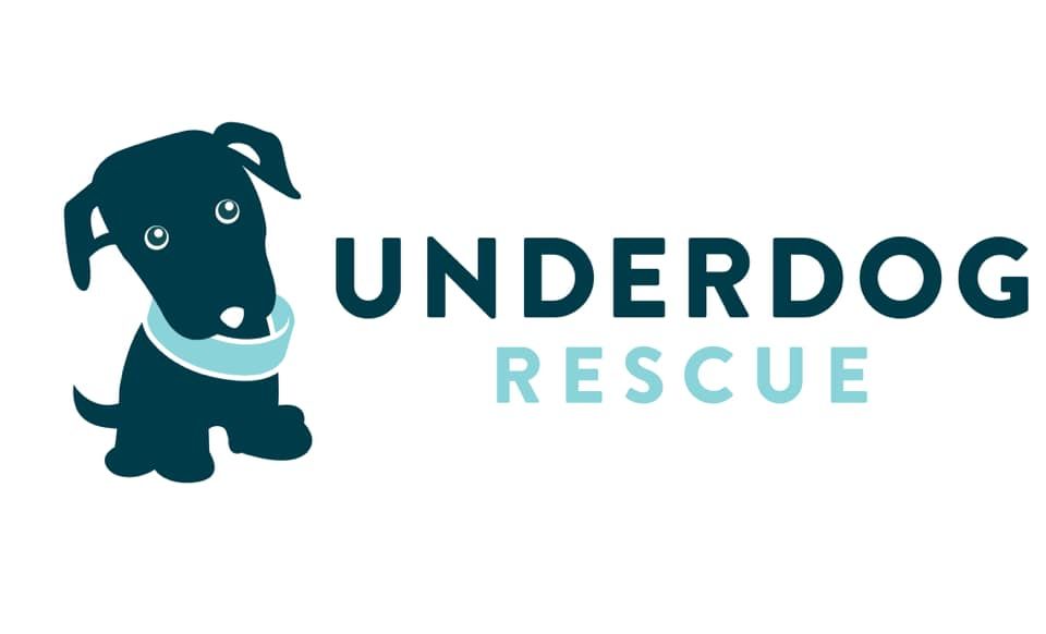 About the Rescued is my Favorite with Logo #2 campaign on Bonfire 2