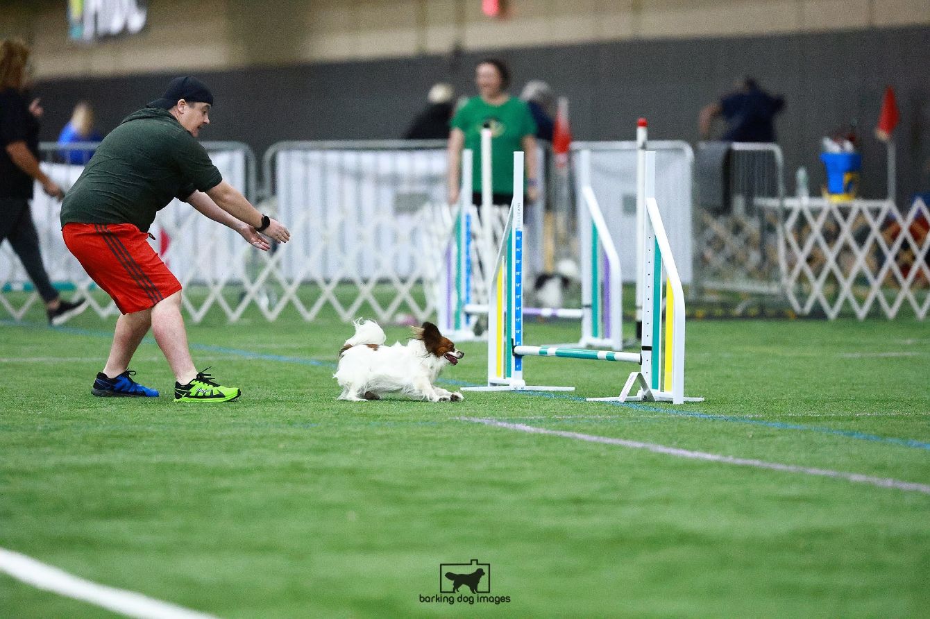 About the  campaign on Bonfire 3