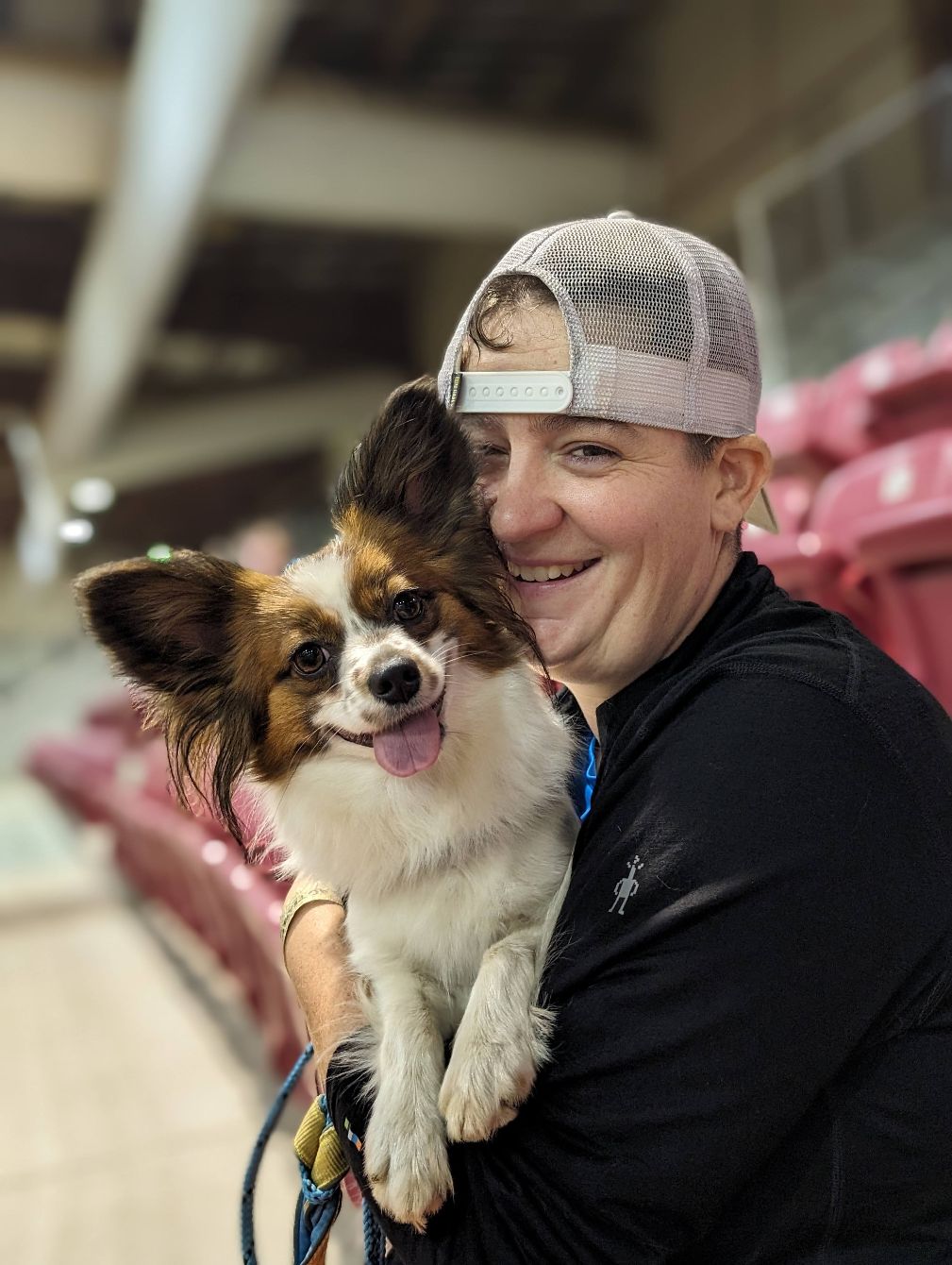 About the  campaign on Bonfire 2