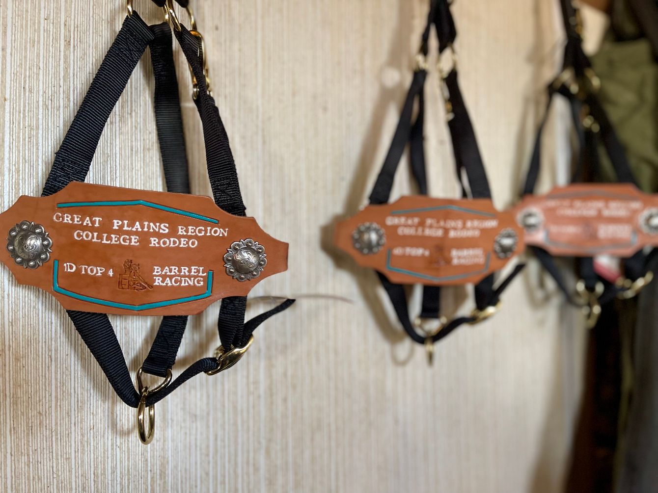 About the MU.Saddlery campaign on Bonfire 4