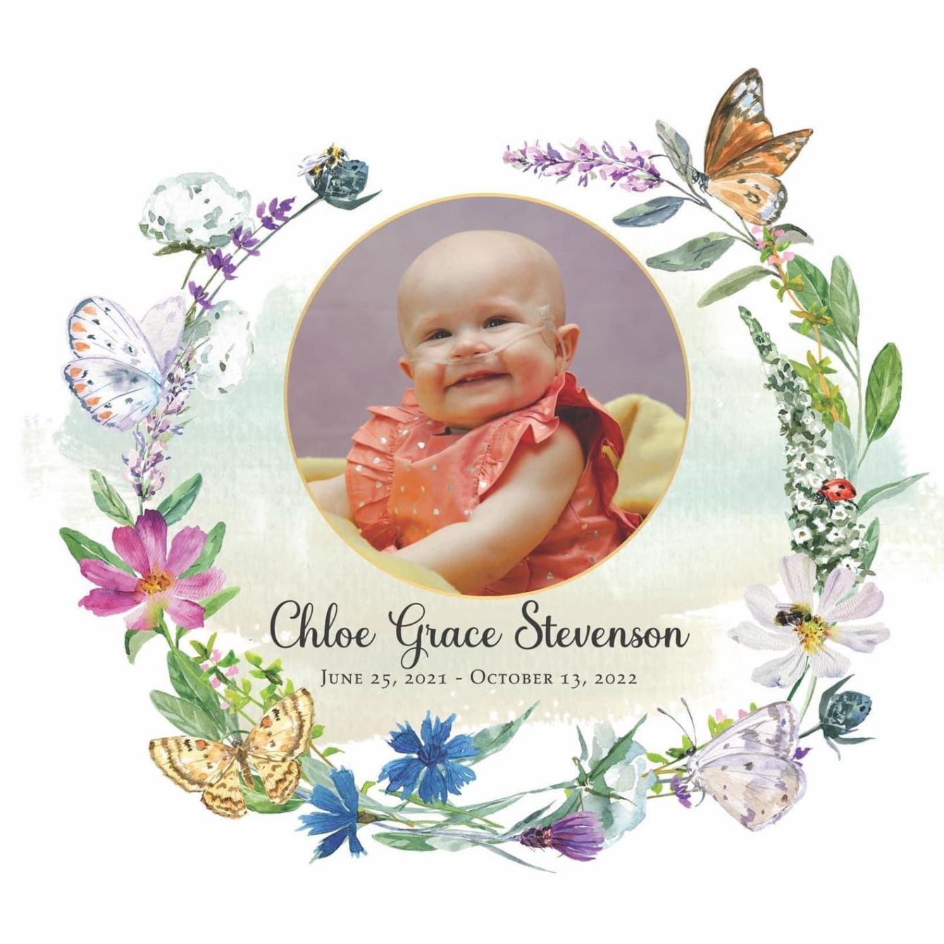 About the Chloe - An Angel in Heaven campaign on Bonfire 2