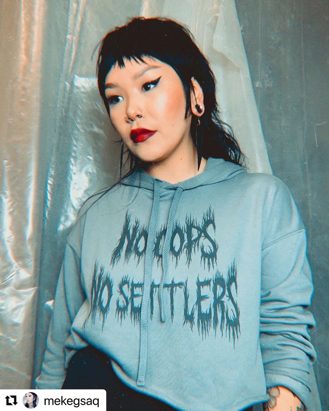 About the N O C O P S , N O S E T T L E R S 02 campaign on Bonfire 9