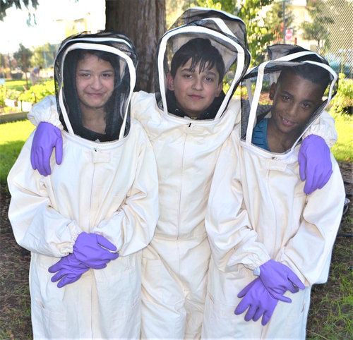 About the Planet Bee Foundation: Bees and Flowers campaign on Bonfire 2