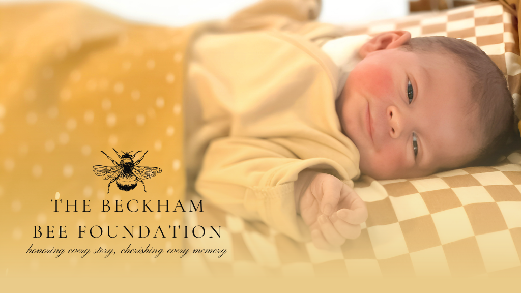 About the Baby campaign on Bonfire 2