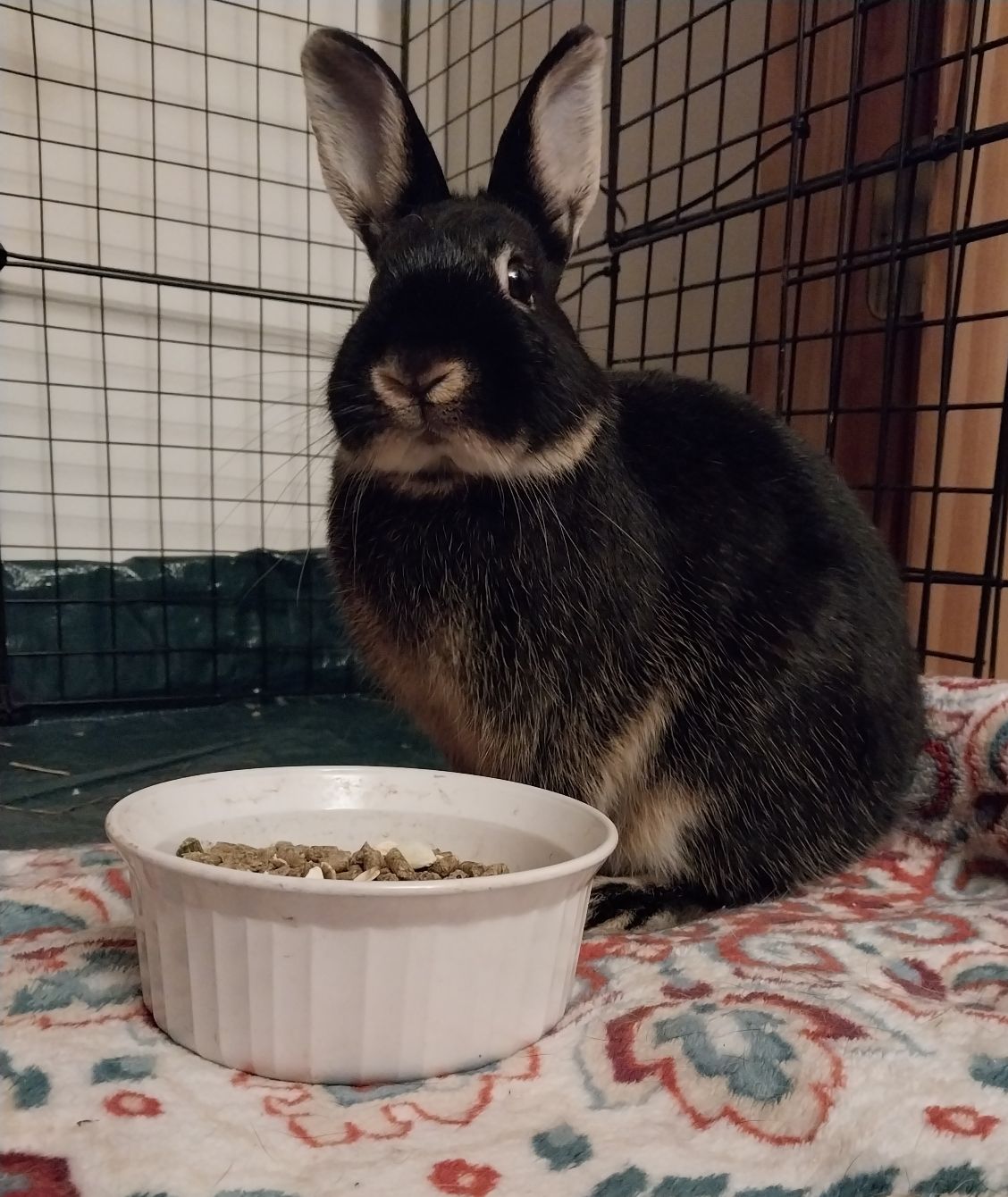 About the Thriving Wild: N is for Nudge campaign on Bonfire 2