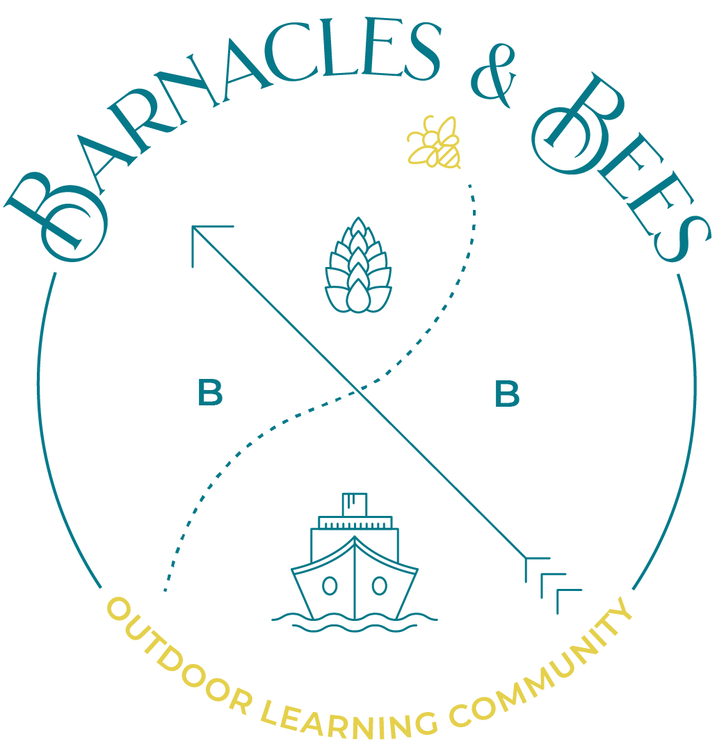 About the  campaign on Bonfire 2