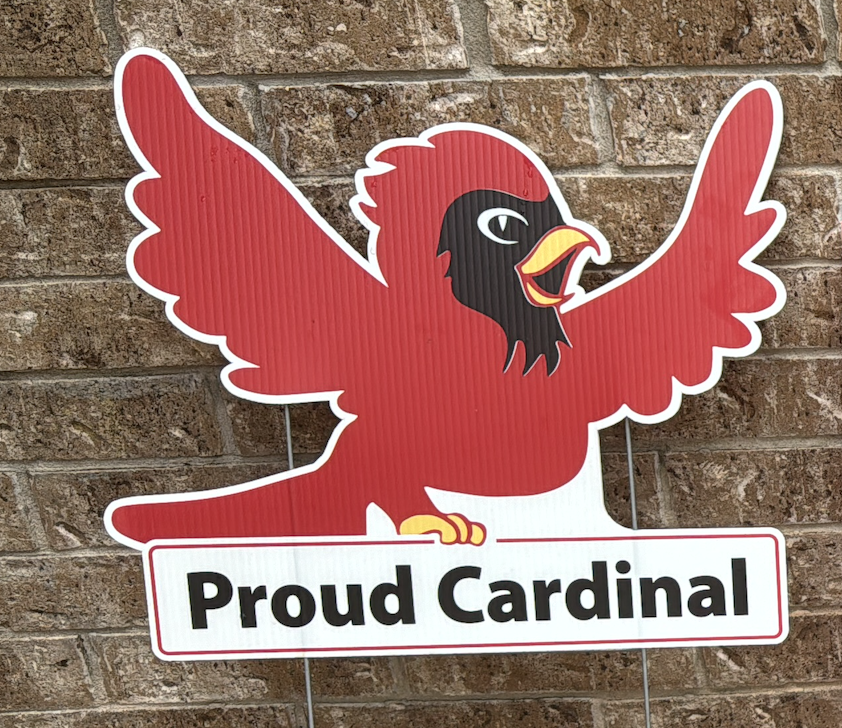 About the  campaign on Bonfire 2