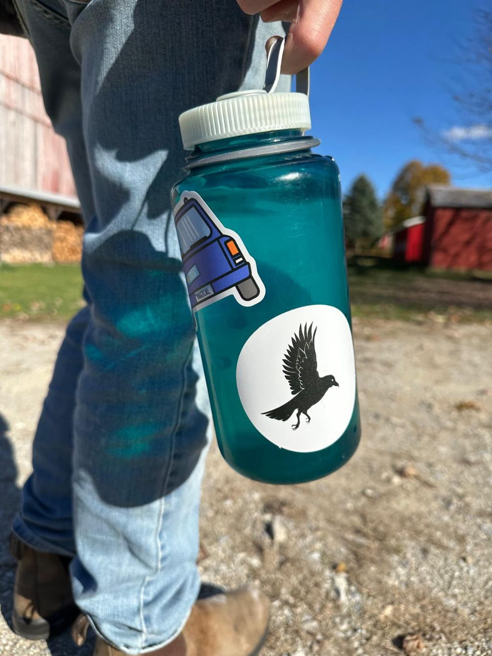 About the The Black Bird Oracle Sticker campaign on Bonfire 3