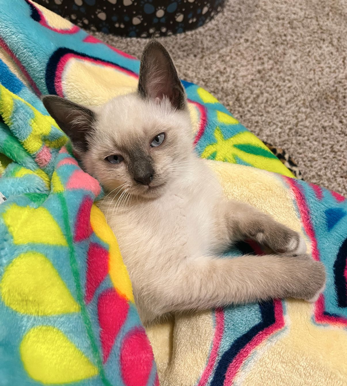 About the Nature's Pallet campaign on Bonfire 3