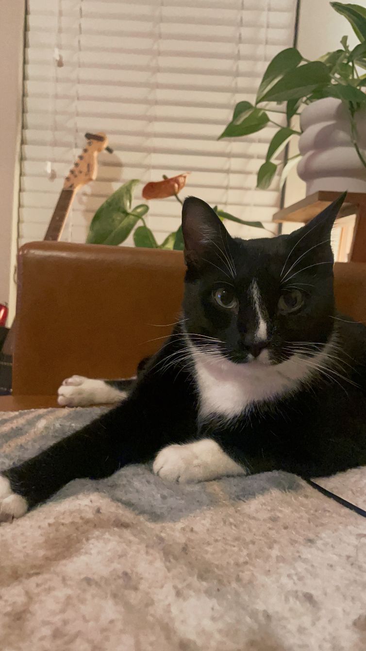 About the Nature's Pallet campaign on Bonfire 4