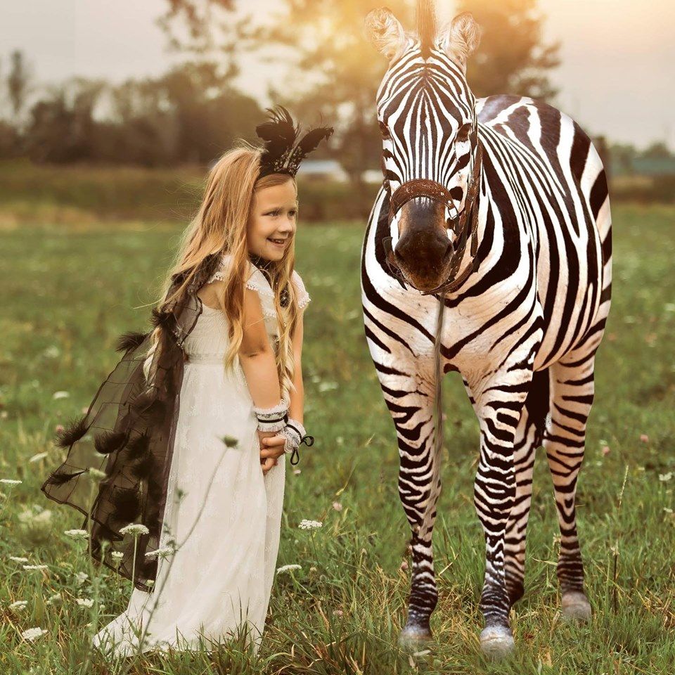 About the Zola's Zebras Campaign Kick Off tee campaign on Bonfire 2