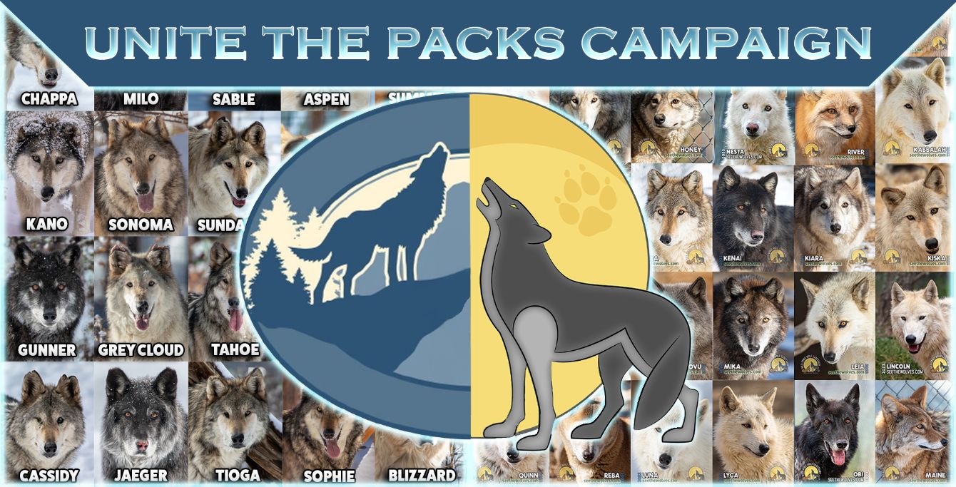 About the Unite the Packs - Wild Spirit Wolf Sanctuary campaign on Bonfire 2