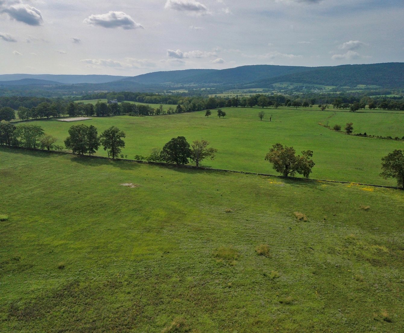 About the LTV Naturally Virginia - Black Logo campaign on Bonfire 2