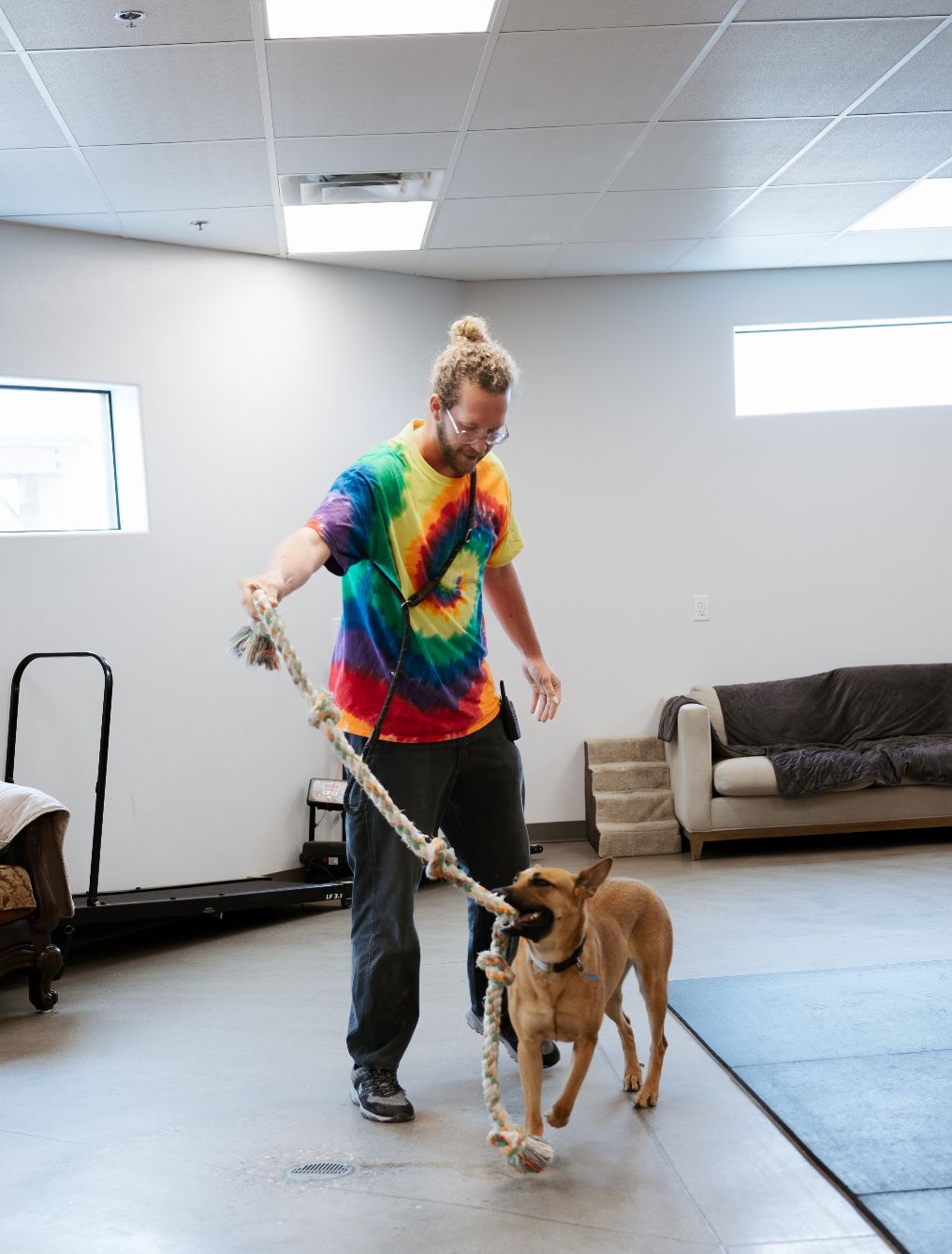 About the Keeping dogs in their home campaign on Bonfire 4