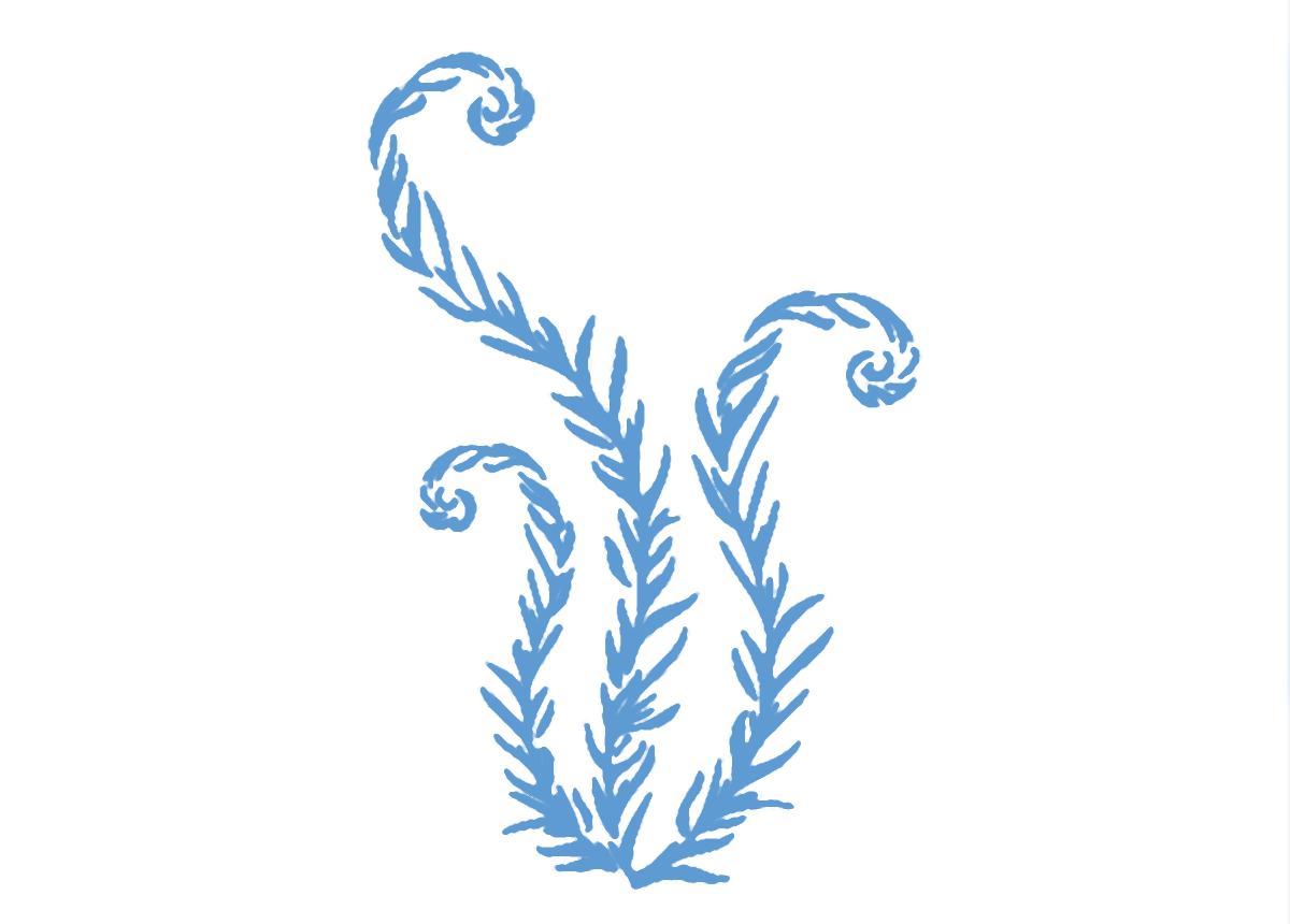 About the Kenilworth Community Preschool campaign on Bonfire 2