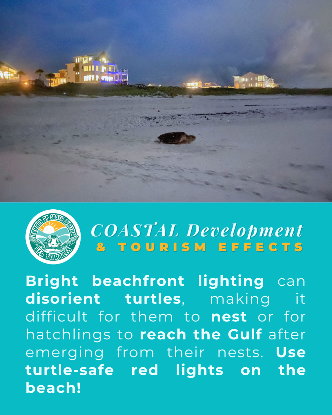 About the Protect Our Sea Turtles #CleanDarkFlat campaign on Bonfire 6