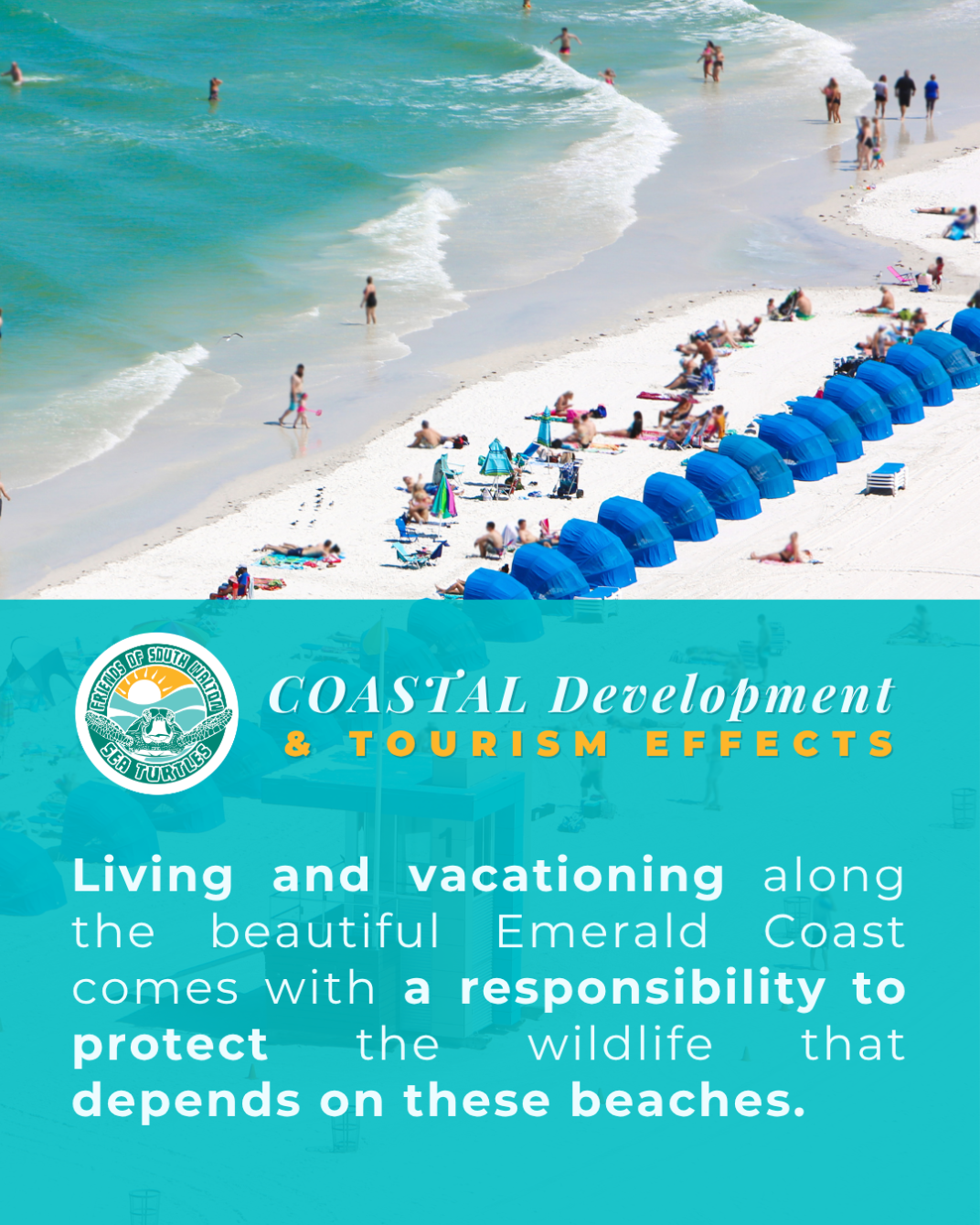 About the Protect Our Sea Turtles #CleanDarkFlat campaign on Bonfire 5