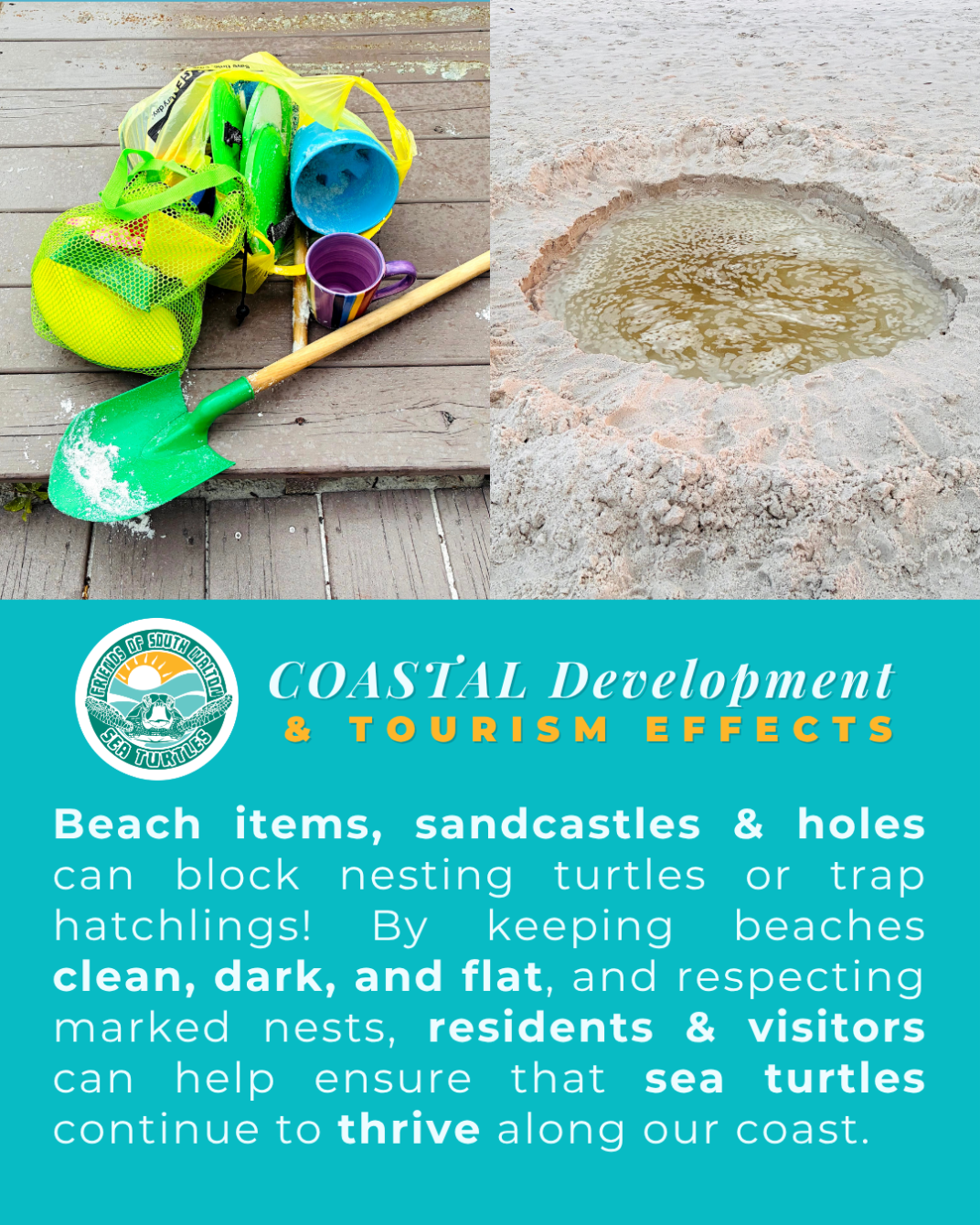 About the Protect Our Sea Turtles #CleanDarkFlat campaign on Bonfire 7