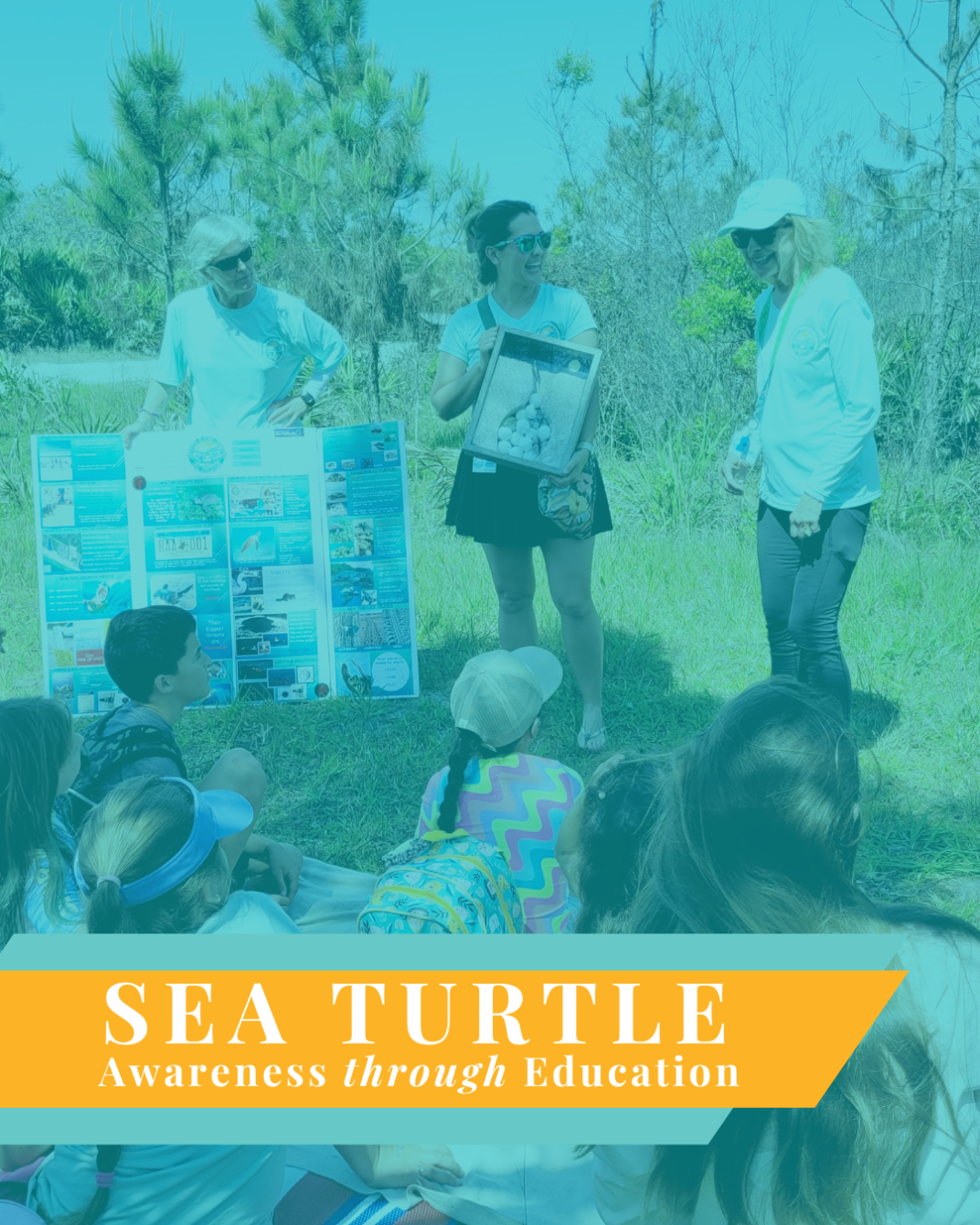 About the Protect Our Sea Turtles #CleanDarkFlat campaign on Bonfire 2