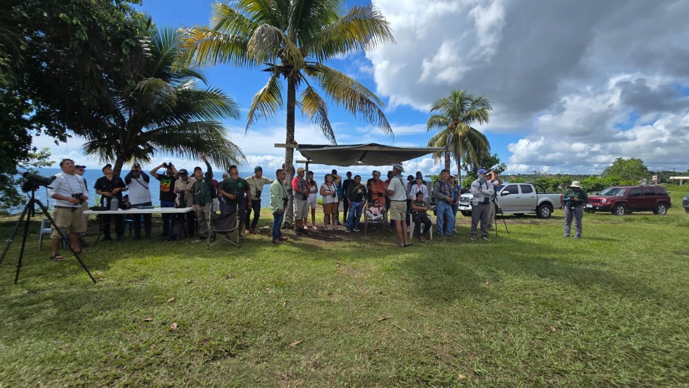 About the Belize Hawk Watch 2025 campaign on Bonfire 8