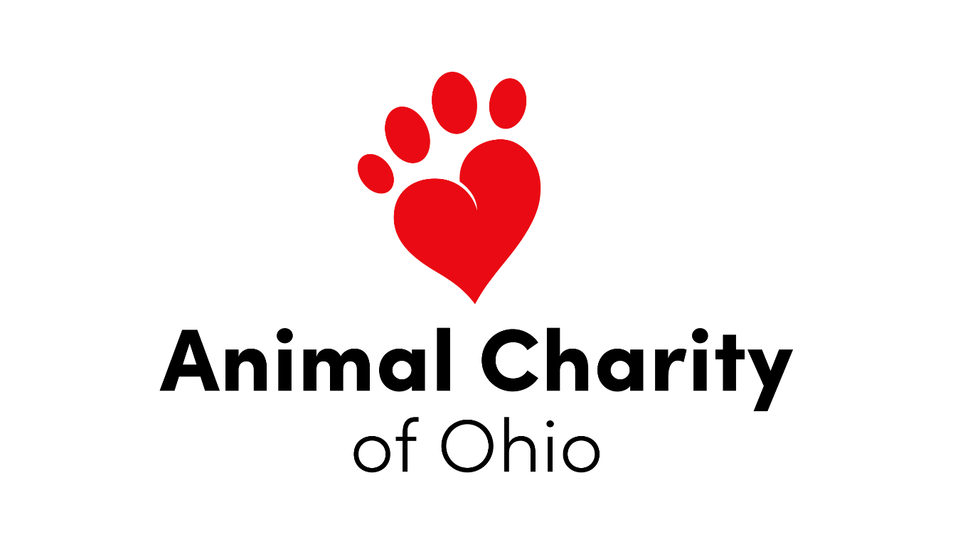 About the Animal Charity of Ohio campaign on Bonfire 2