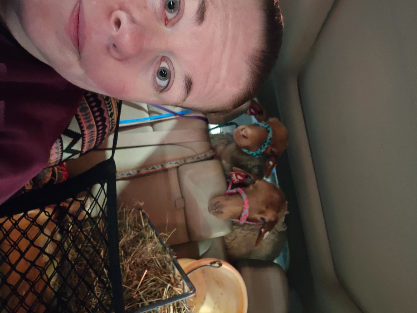 About the My Girls campaign on Bonfire 2