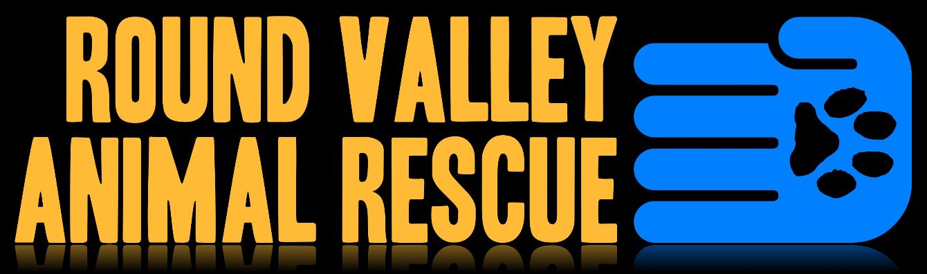 About the Every Shelter Pet has a Story campaign on Bonfire 2