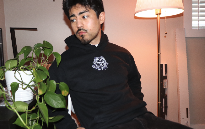 About the WOWMAN FROG - INVERTED! campaign on Bonfire 2