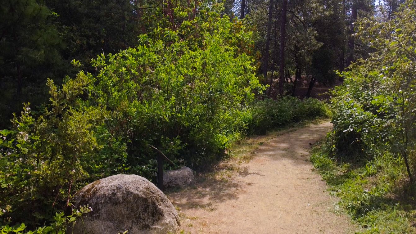 About the Bear Yuba Land Trust Trail Vibes (ice blue) campaign on Bonfire 2