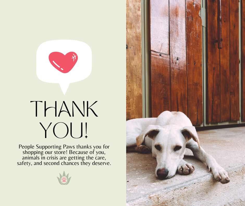 About the  campaign on Bonfire 2