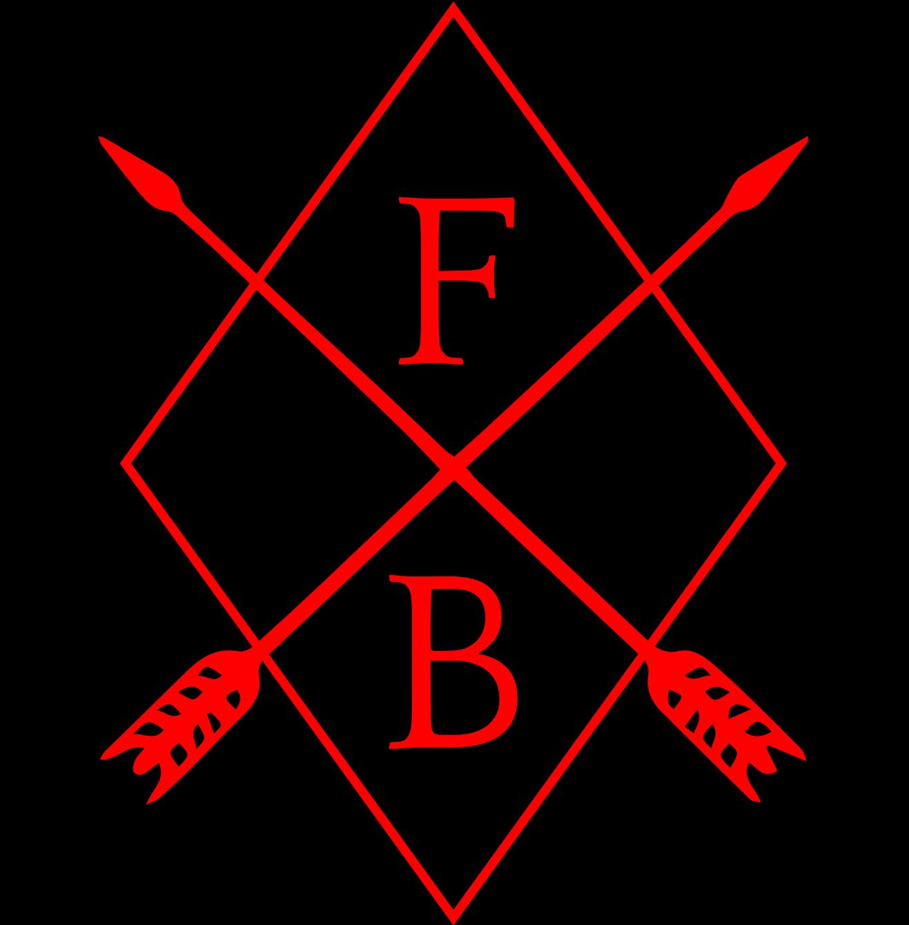 About the  campaign on Bonfire 2