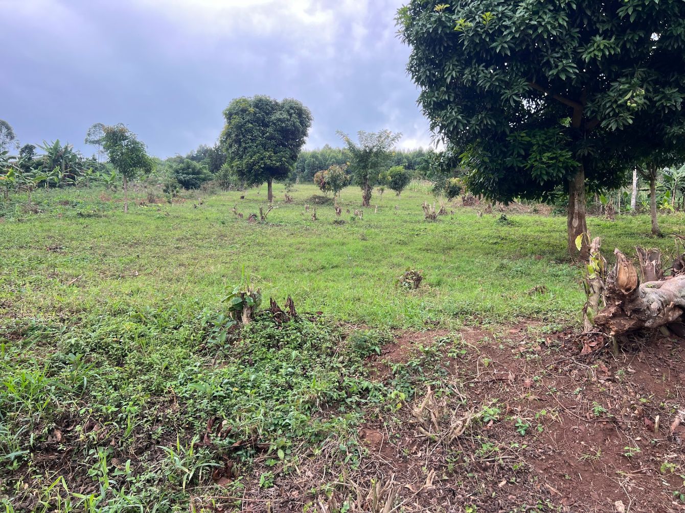 About the ?Help Build a Child?s Forever Home? campaign on Bonfire 4