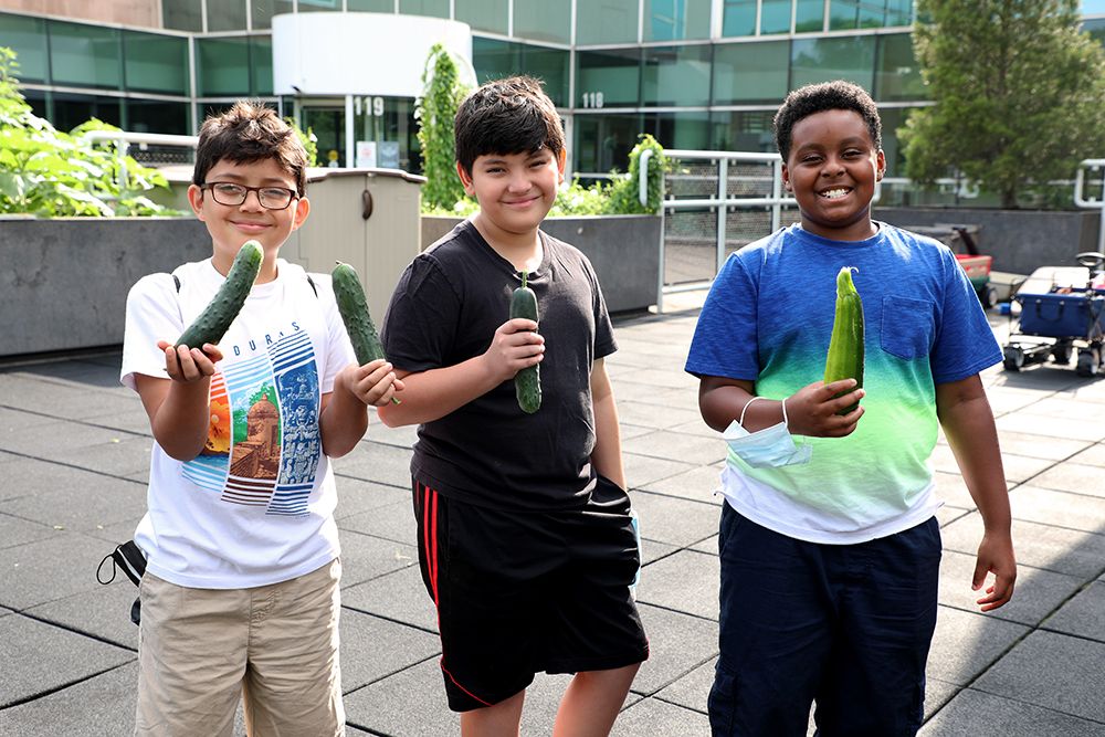 About the KidsGardening campaign on Bonfire 2