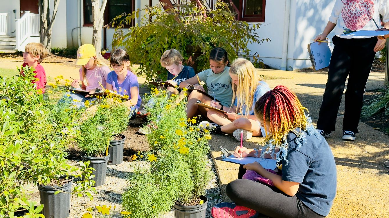 About the Unity Gardens T-Shirts & Sweatshirts campaign on Bonfire 3