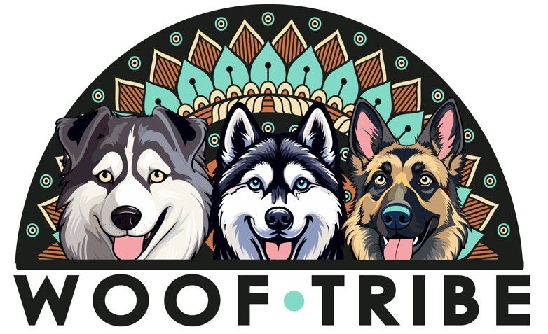 About the  campaign on Bonfire 2