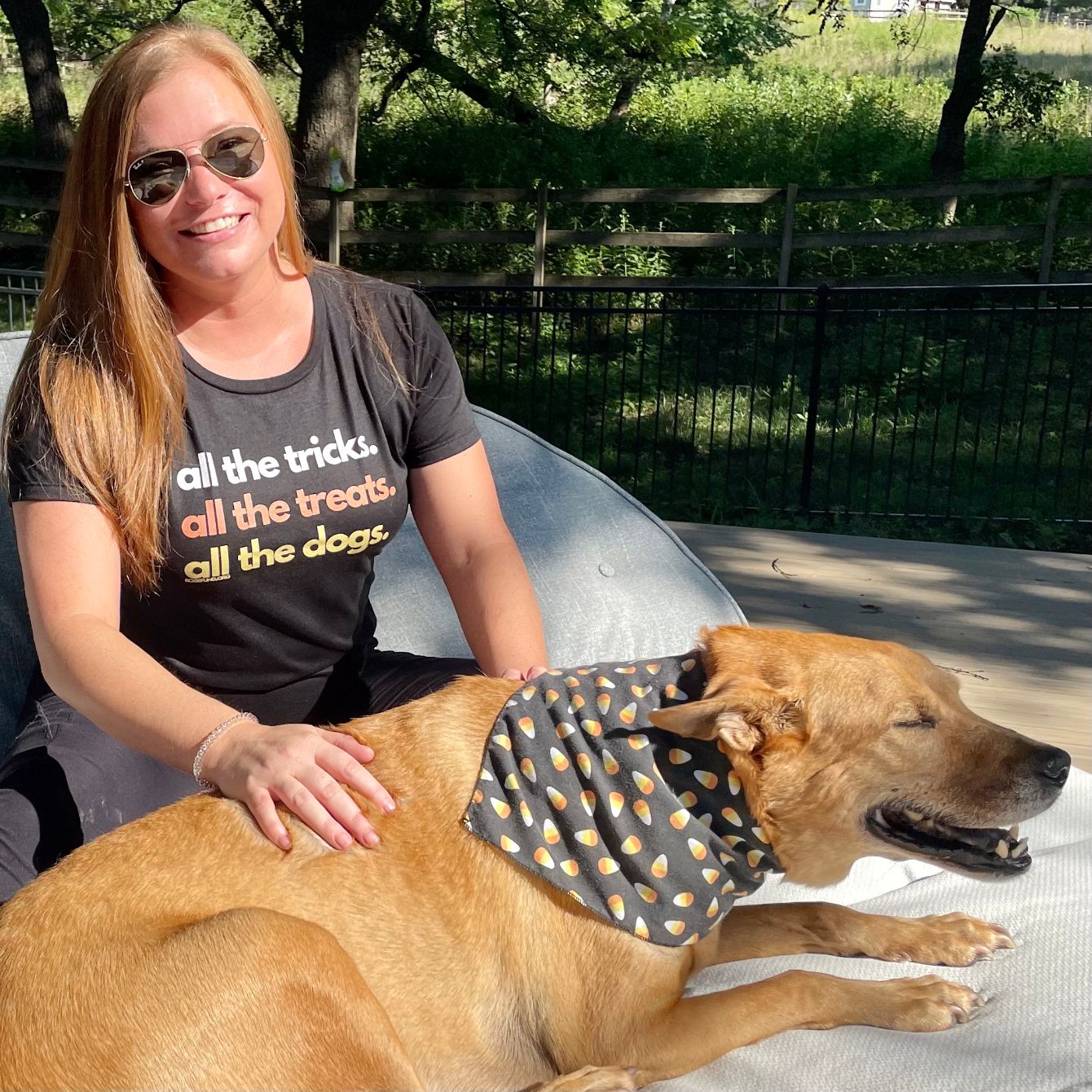 About the All the Tricks, Treats & Dogs campaign on Bonfire 2