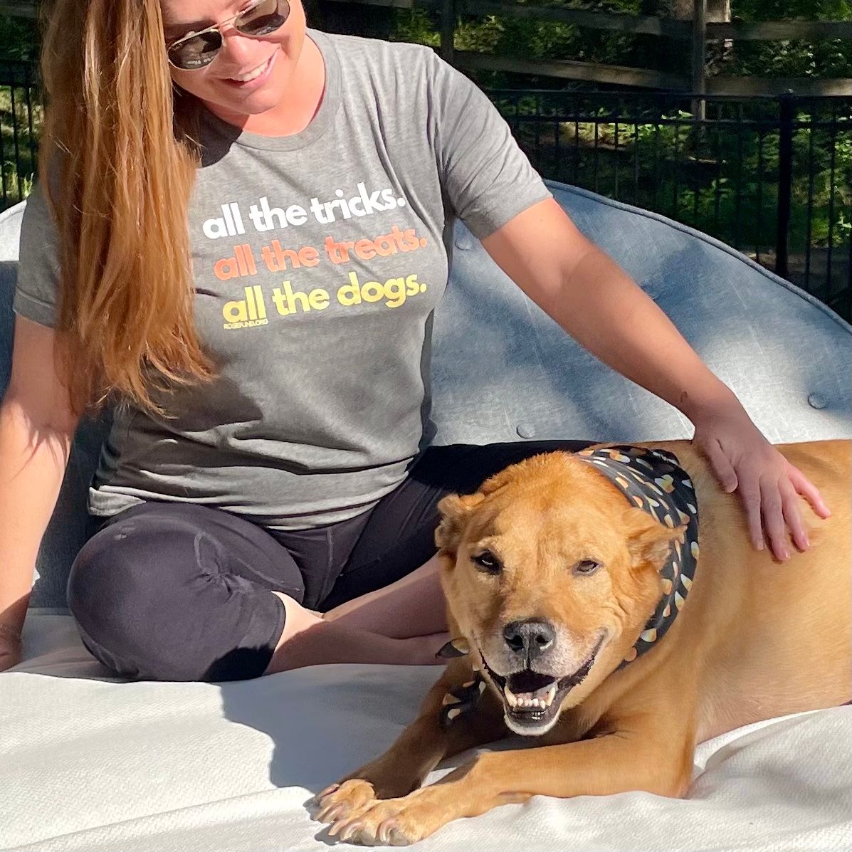 About the All the Tricks, Treats & Dogs campaign on Bonfire 3