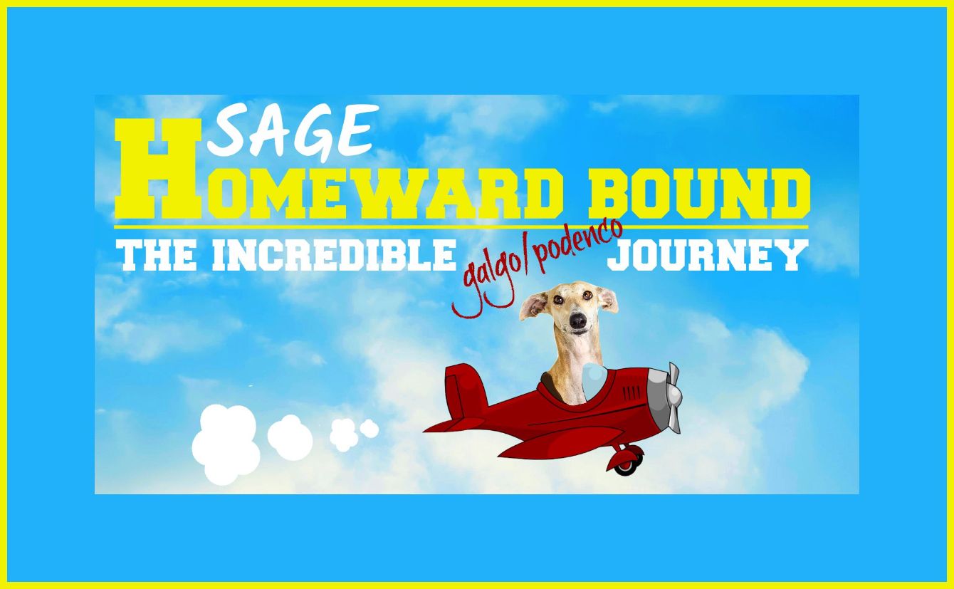 About the MUGS FOR MILES campaign on Bonfire 2