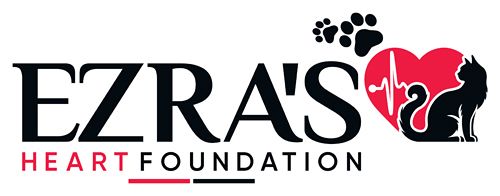 About the Ezra's Heart Foundation&nbsp; campaign on Bonfire 2