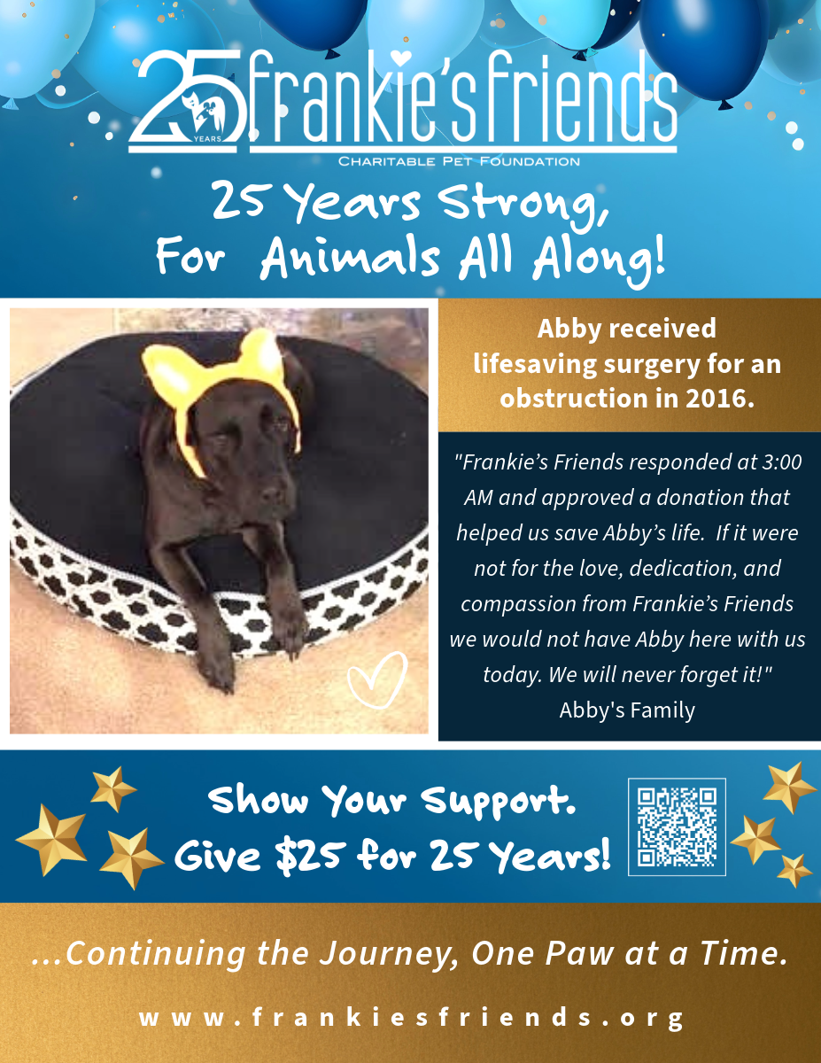 About the 25 Years of Saving Pets' Lives campaign on Bonfire 4