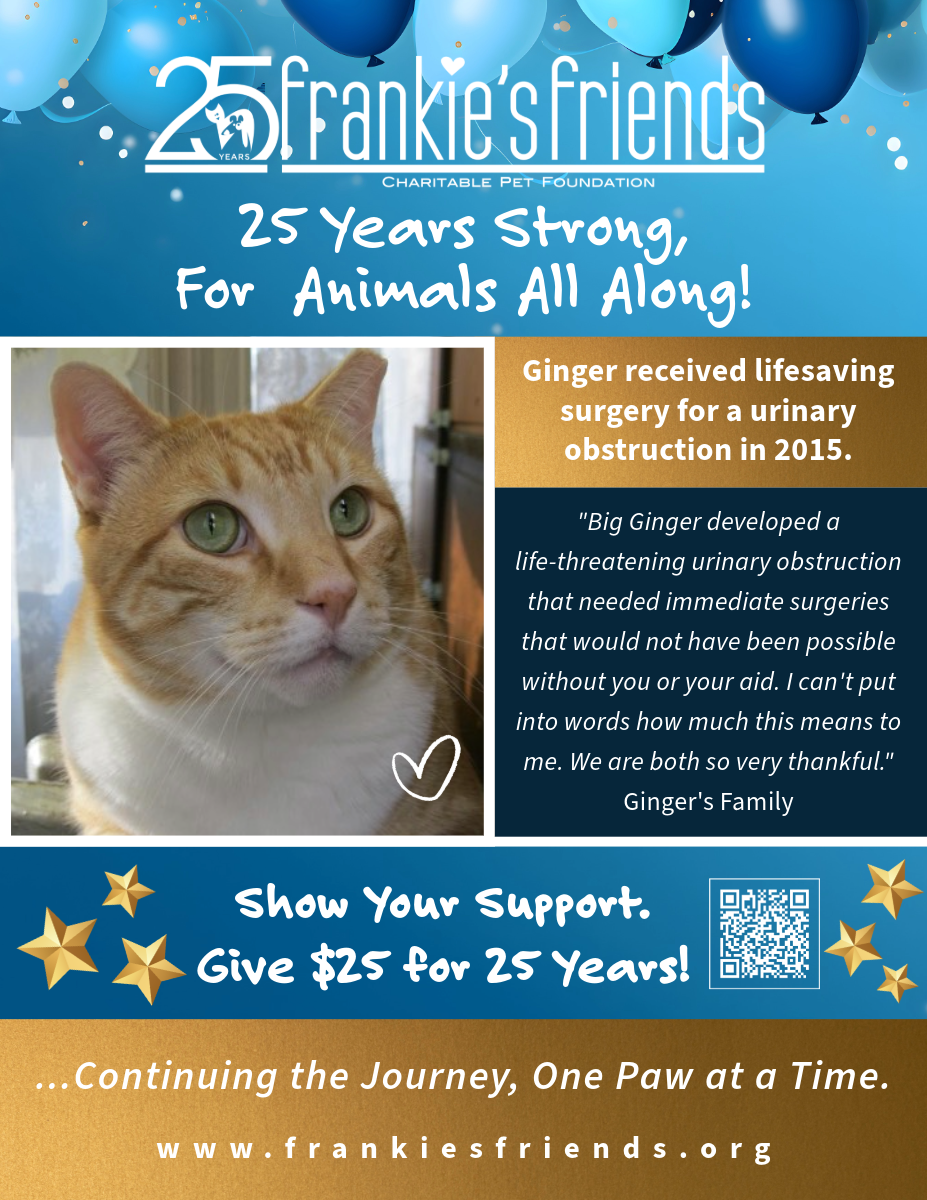 About the 25 Years of Saving Pets' Lives campaign on Bonfire 3