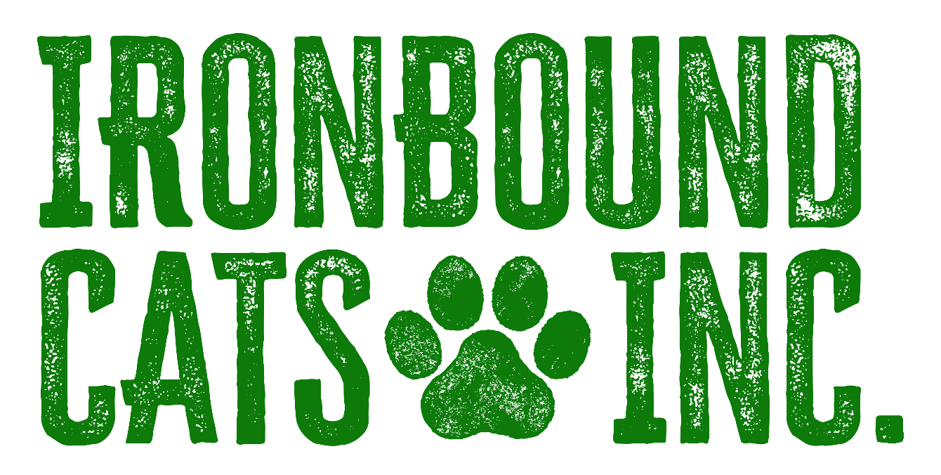 About the Spay Your Cats Holiday Fundraiser&nbsp; campaign on Bonfire 2