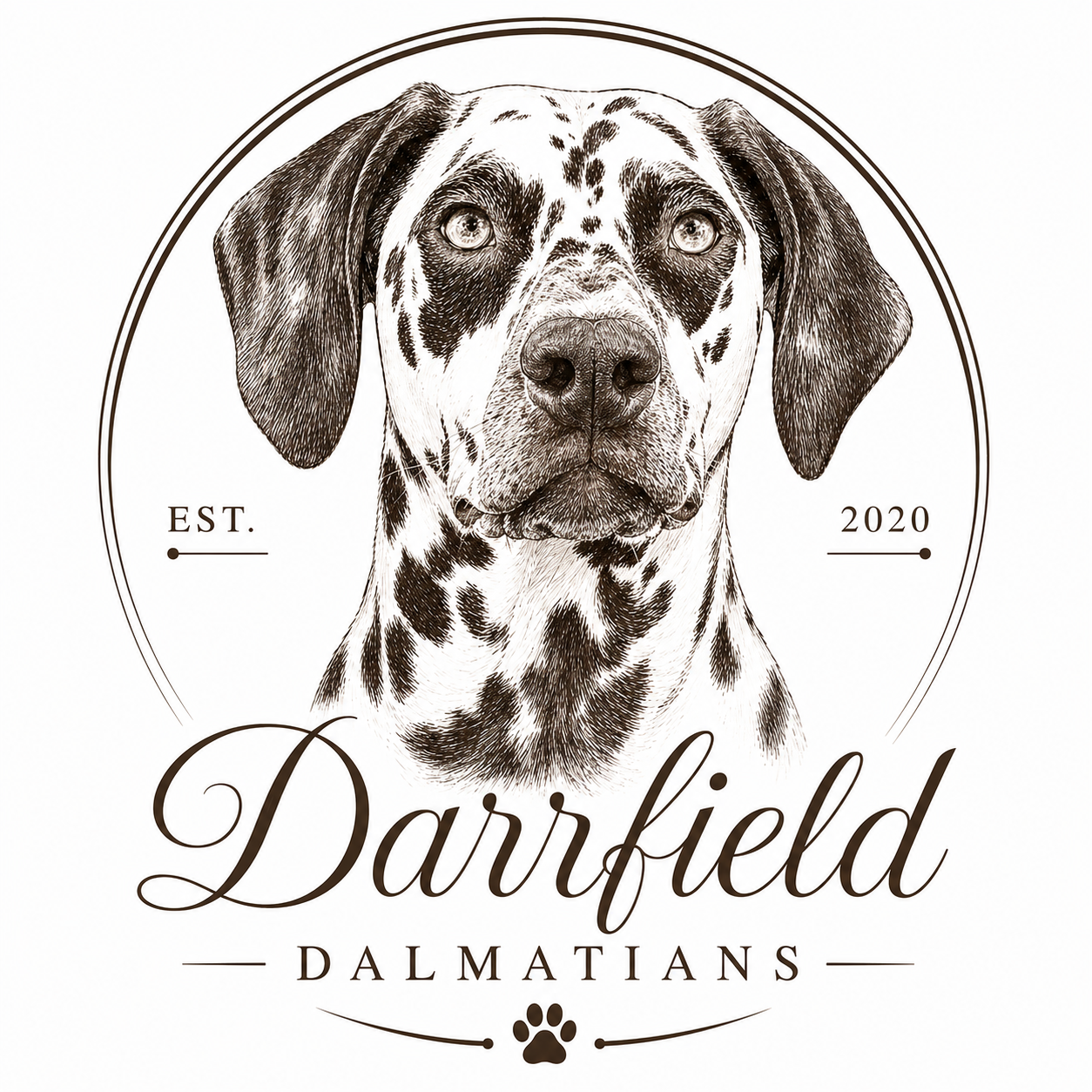About the Darrfield: Educate. Participate. Perform campaign on Bonfire 1