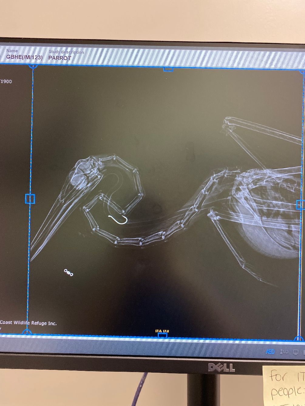 About the Aquatic Birds of NWFL campaign on Bonfire 5