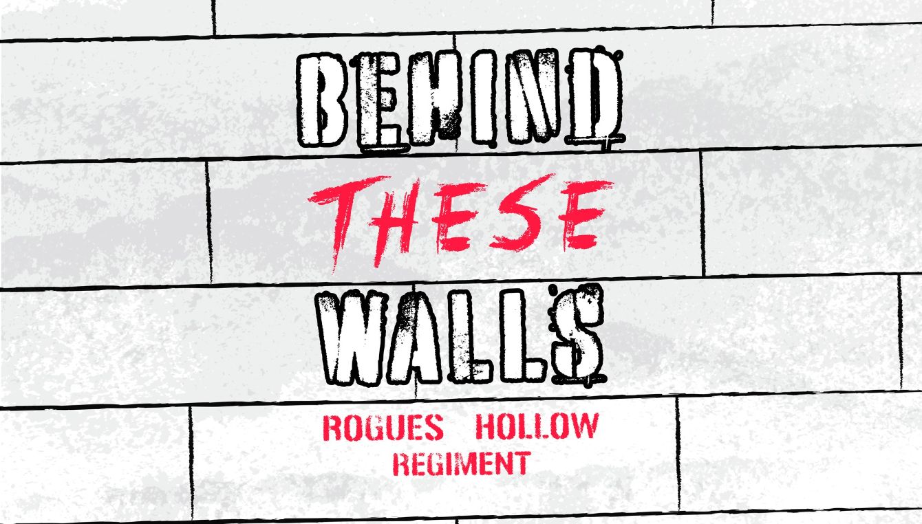 About the Rogues Hollow- pink logo :) campaign on Bonfire 2