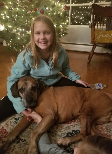 About the Pennsylvania SPCA - Ebby campaign on Bonfire 2