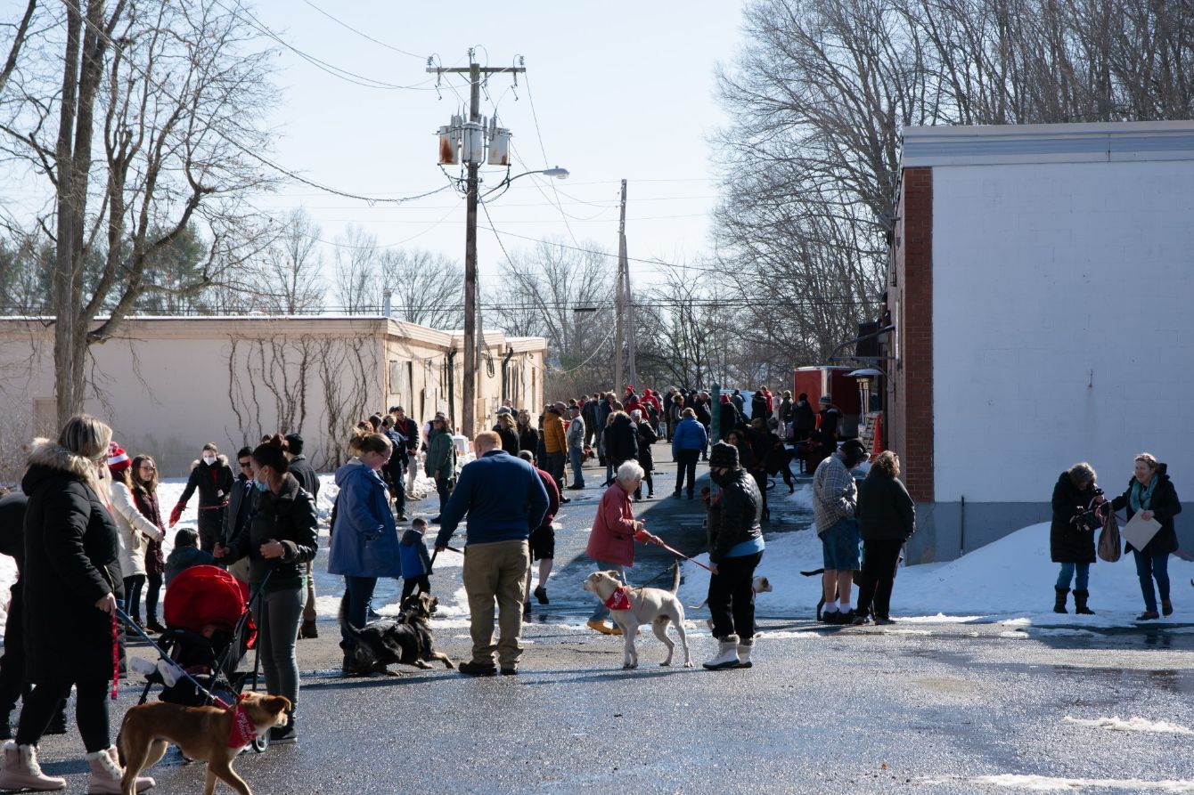 About the Volunteer Shirts campaign on Bonfire 2